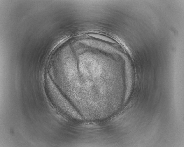 X0000115150386200911171245