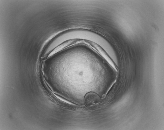 X0000115150388200911171245