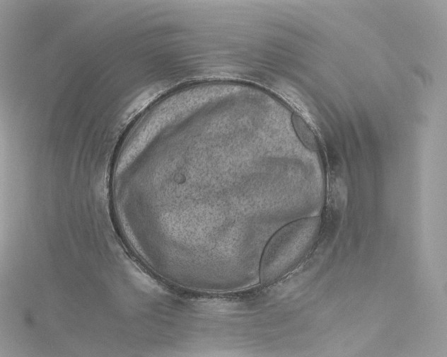 X0000115150389200911171245