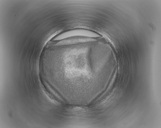 X0000115150390200911171245