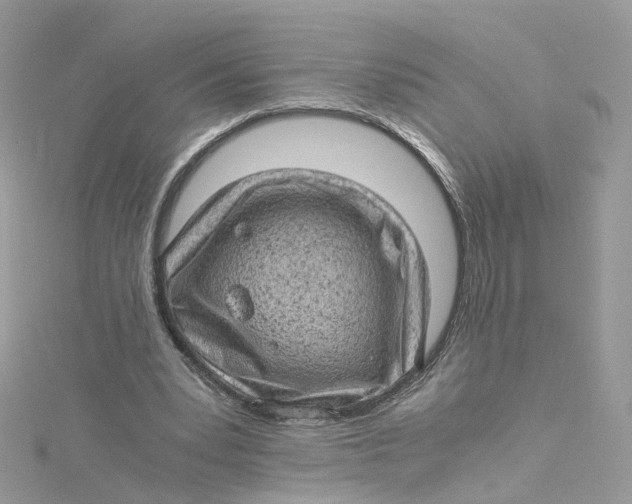 X0000115150391200911171245