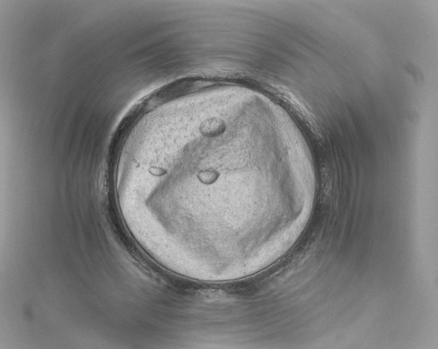 X0000115150392200911171245