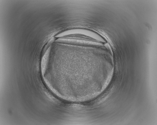 X0000115150393200911171245