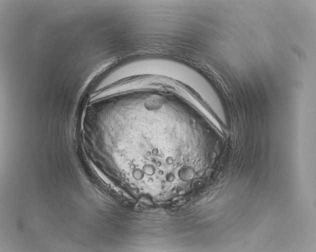 X0000115150396200911171245