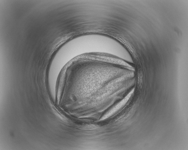 X0000115150397200911171245