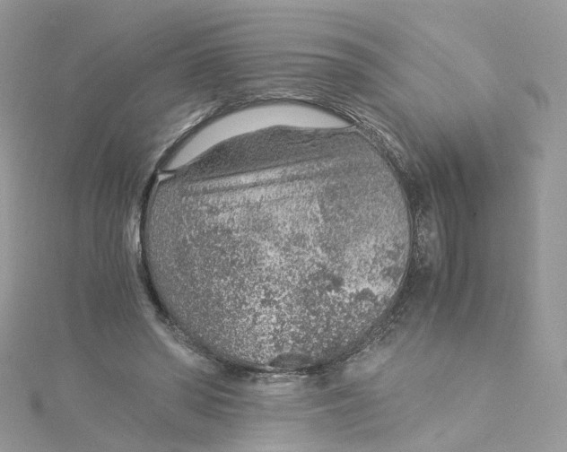 X0000115150398200911171245