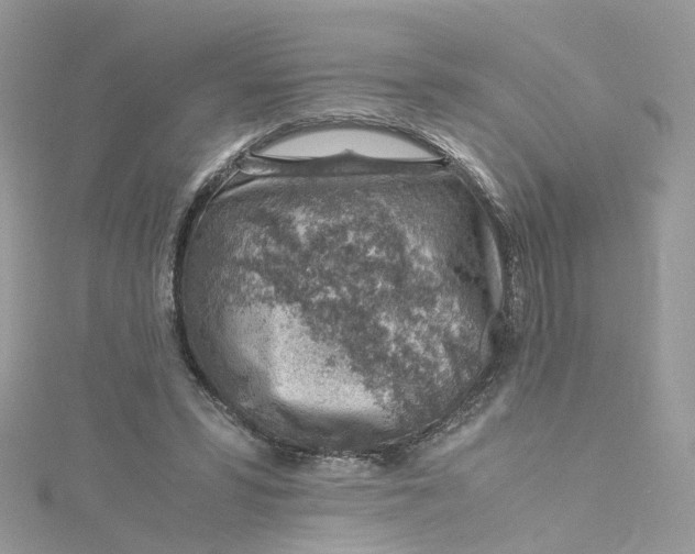 X0000115150399200911171245