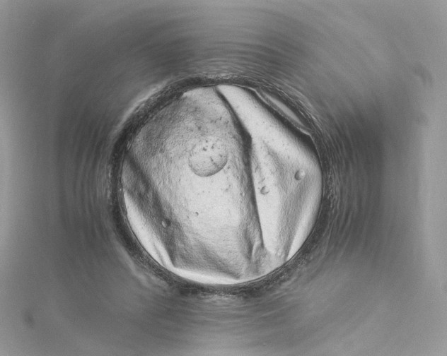 X0000115150400200911171245