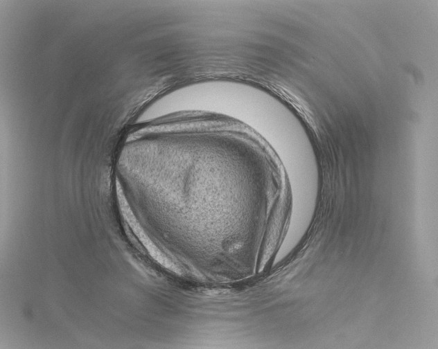 X0000115150401200911171245