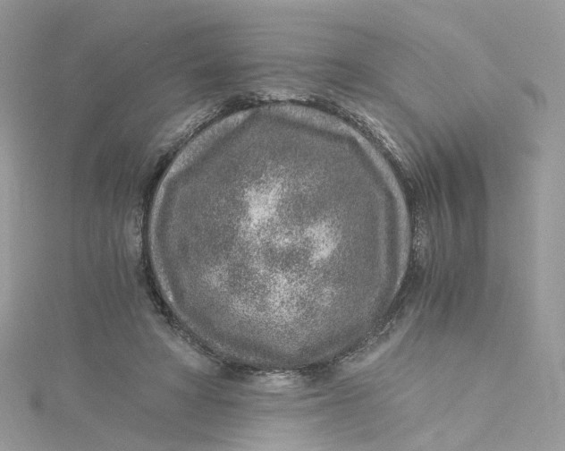 X0000115150402200911171245