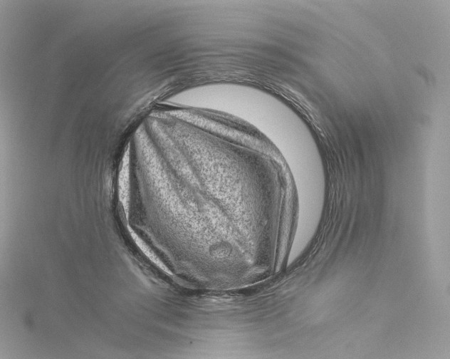 X0000115150405200911171245