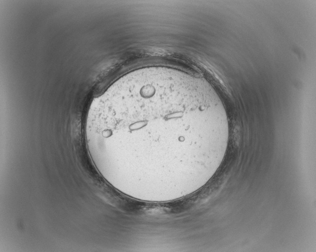 X0000115150407200911171245