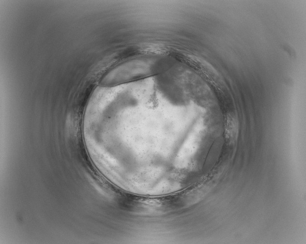 X0000115150409200911171245