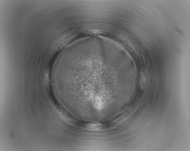 X0000115150410200911171245