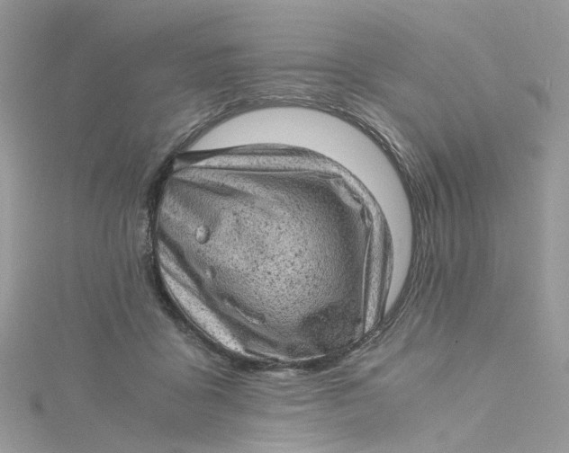 X0000115150411200911171245