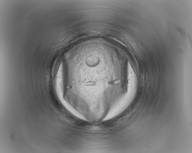 X0000115150412200911171245