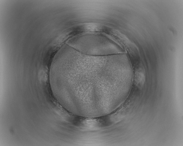 X0000115150413200911171245