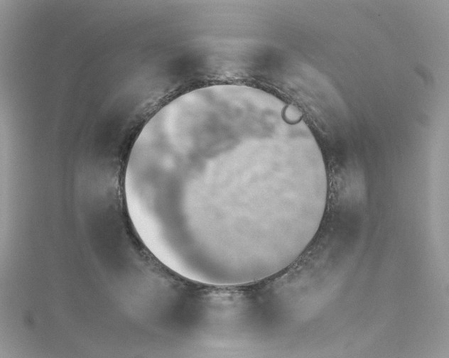 X0000115150415200911171245