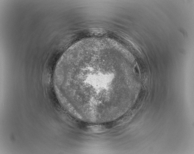 X0000115150417200911171245