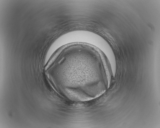 X0000115150419200911171245