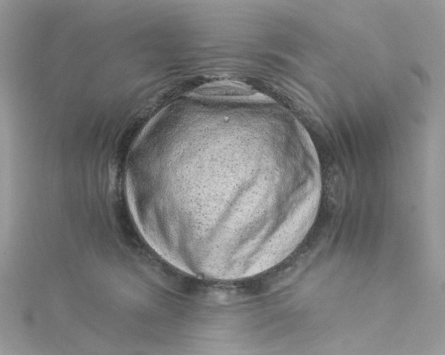 X0000115150420200911171245