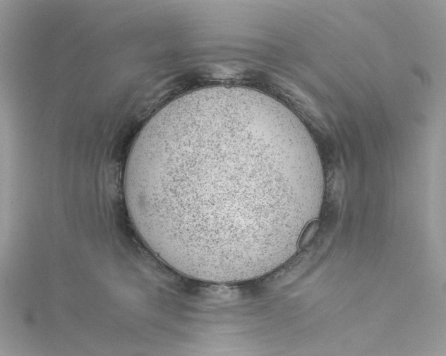 X0000115150421200911171245