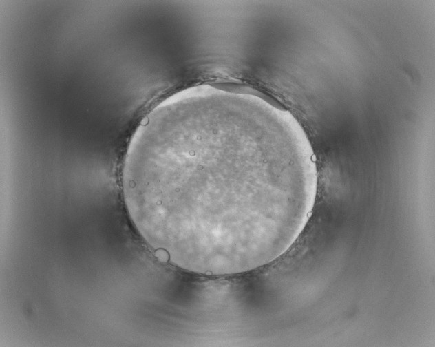 X0000115150423200911171245