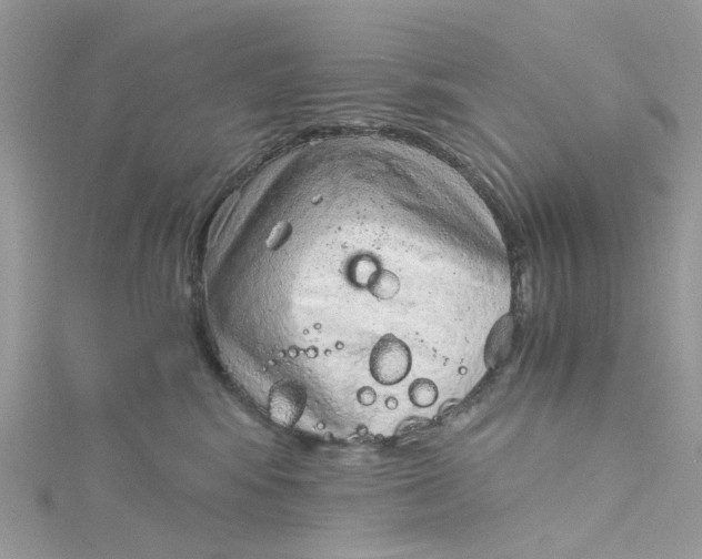 X0000115150424200911171245