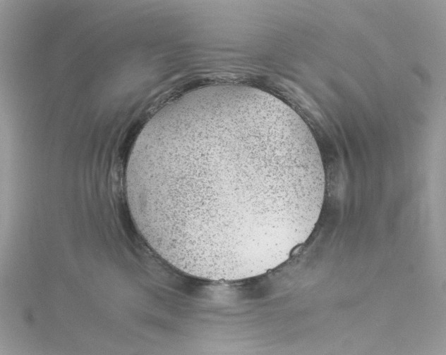 X0000115150425200911171245