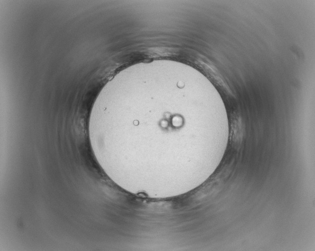 X0000115150426200911171245