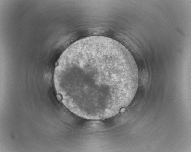 X0000115150427200911171245