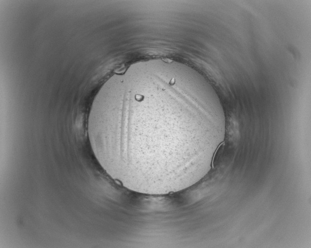 X0000115150428200911171244