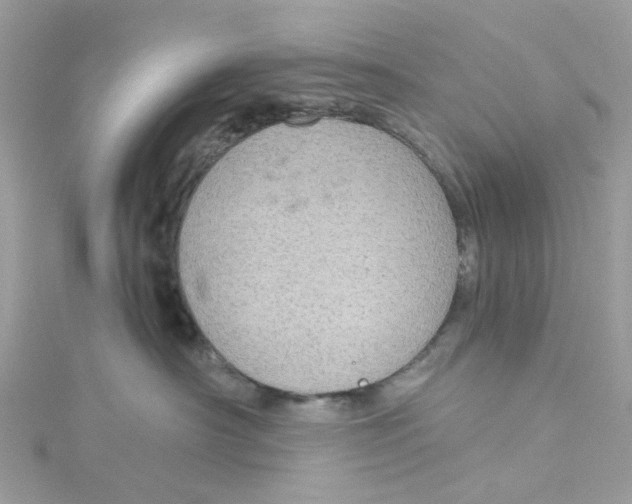 X0000115150430200911171244