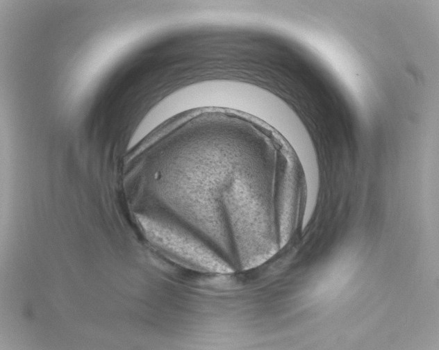 X0000115150431200911171244