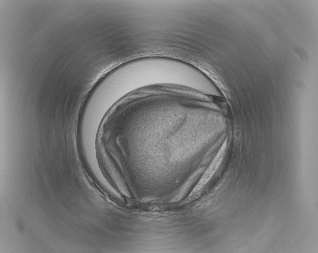 X0000115150434200911171244