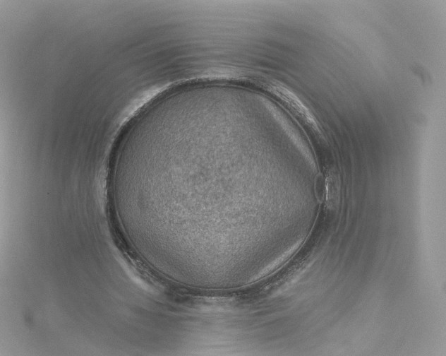 X0000115150436200911171244