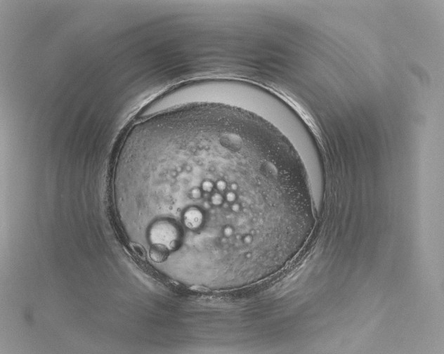 X0000115150437200911171244