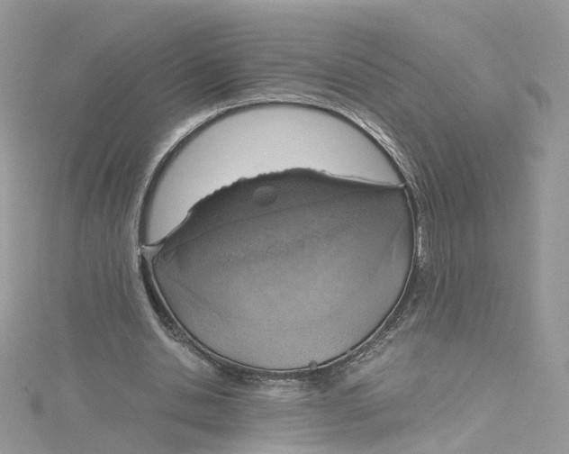 X0000115150438200911171244