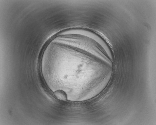 X0000115150439200911171244