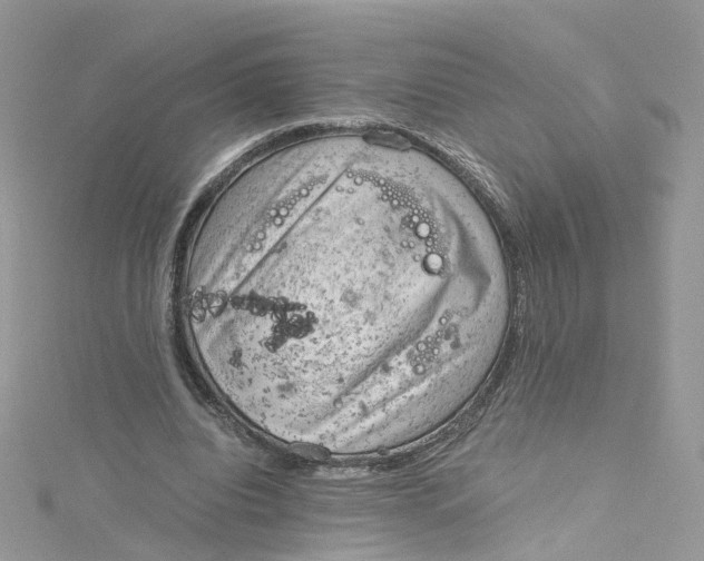 X0000115150440200911171244