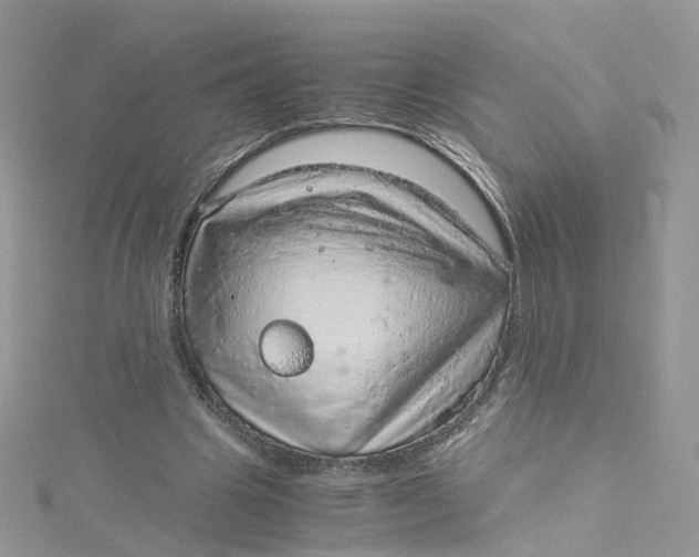 X0000115150441200911171244