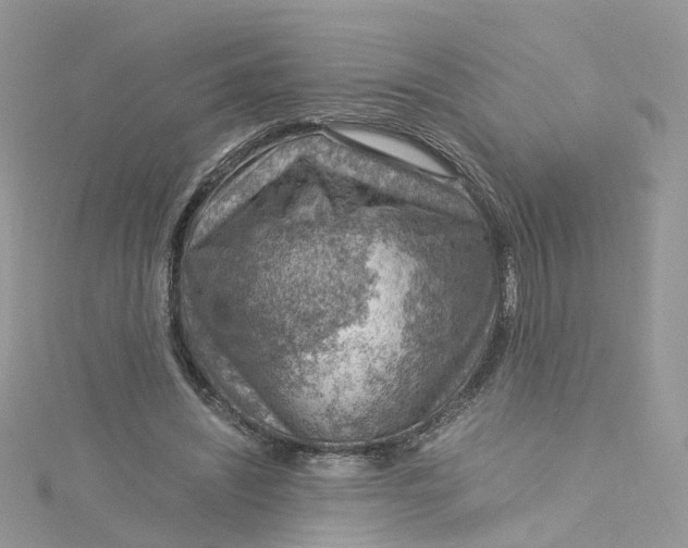 X0000115150444200911171244