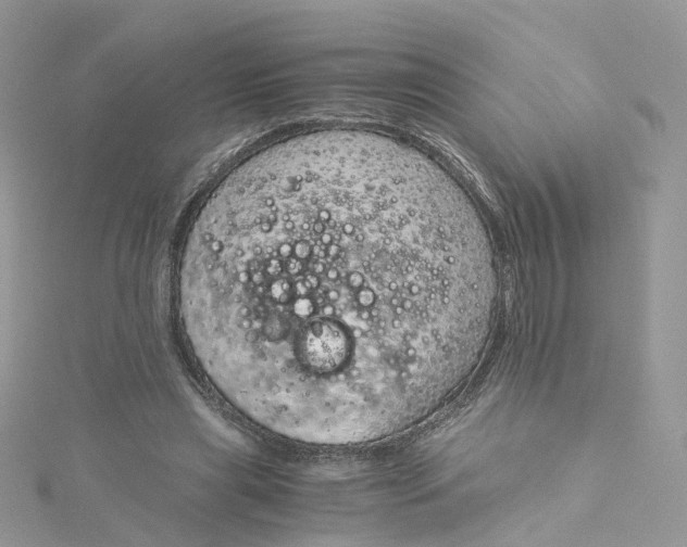 X0000115150445200911171244