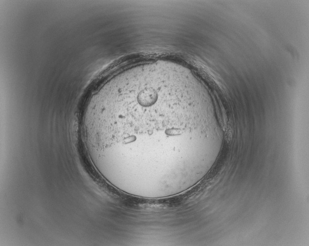 X0000115150448200911171244