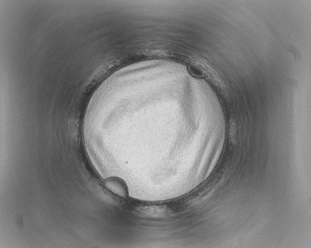 X0000115150449200911171244