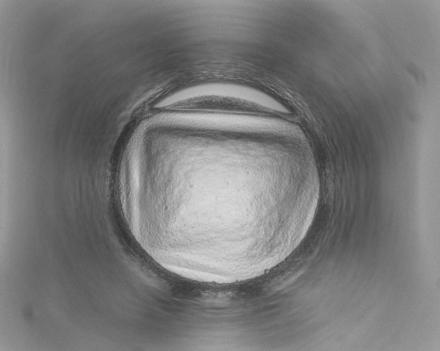 X0000115150450200911171244