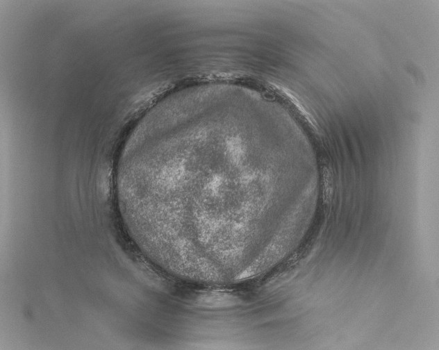 X0000115150451200911171244