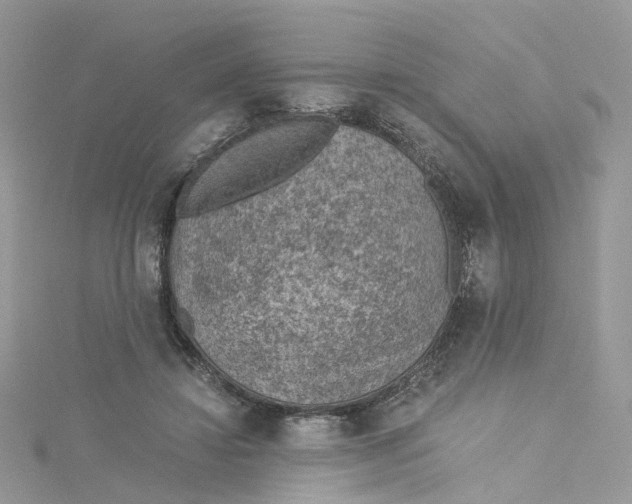 X0000115150452200911171244