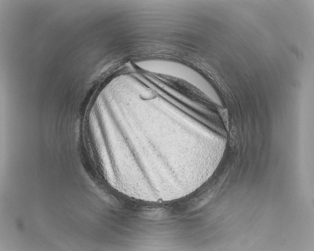 X0000115150454200911171244