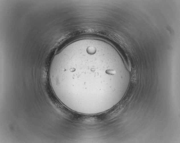 X0000115150456200911171244